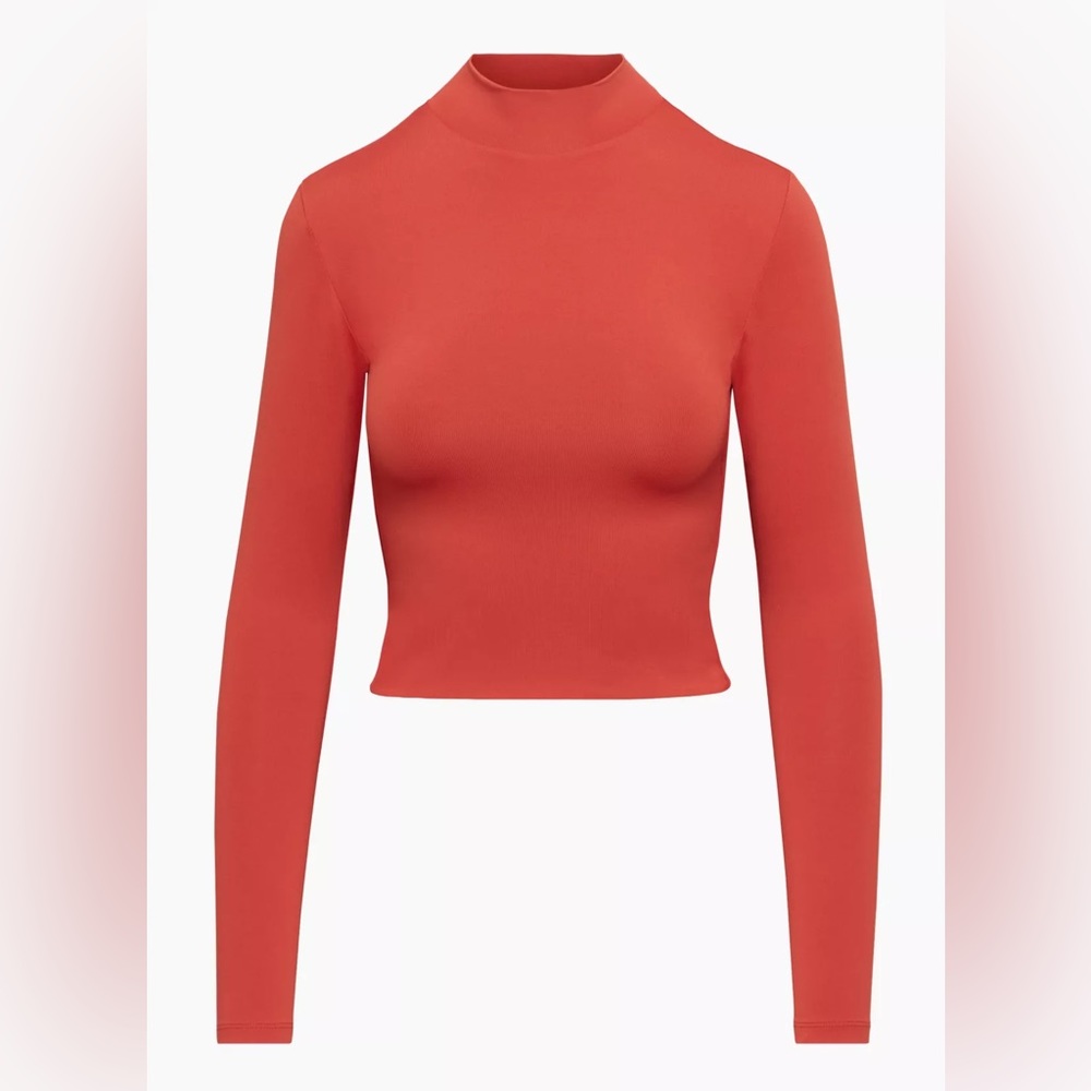 Aritzia Babaton Contour Mockneck Longsleeve - Small